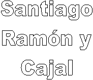 Santiago
Ramón y
Cajal